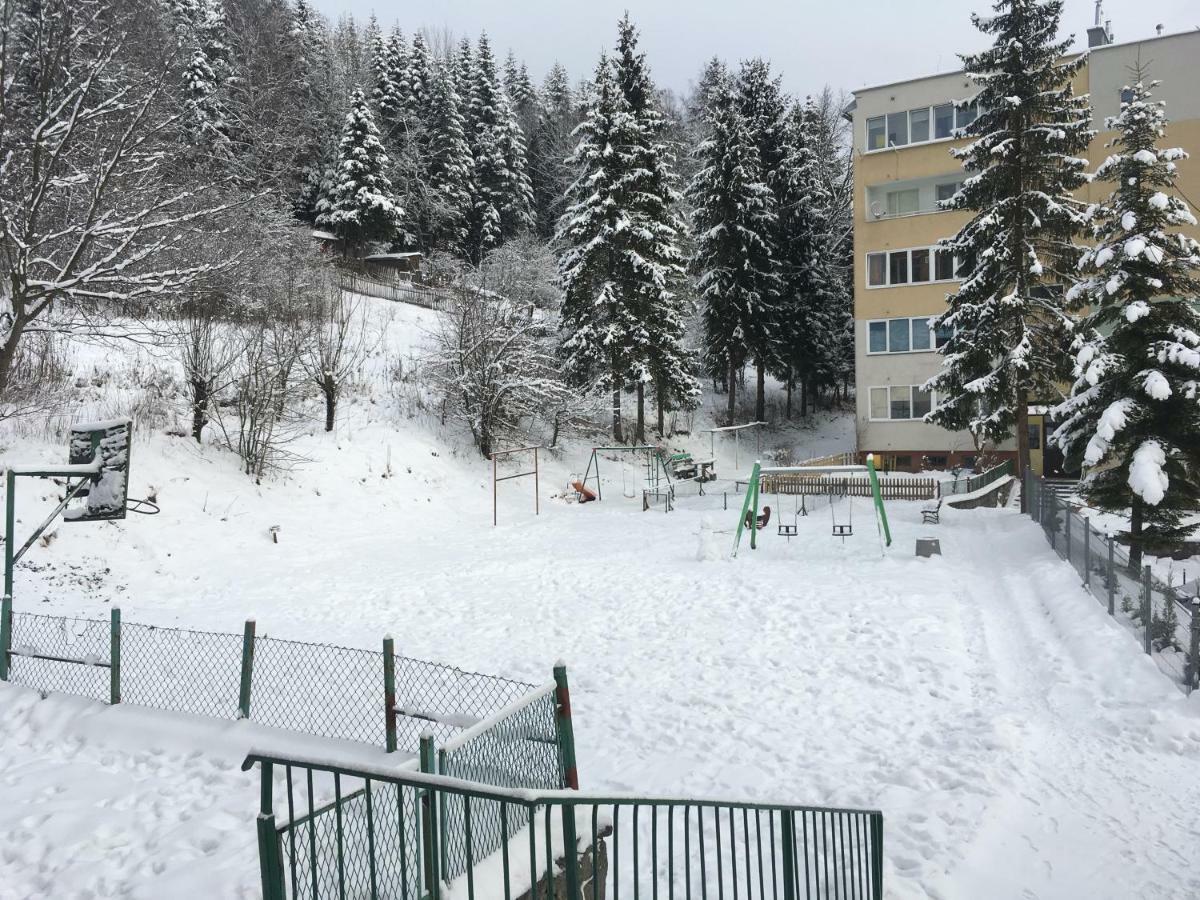 Mieszkanie "Panorama" Daire Krynica Zdroj Dış mekan fotoğraf